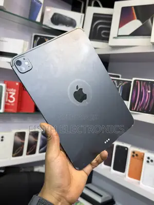 Apple iPad Pro 11 (2024) 256 GB Gray