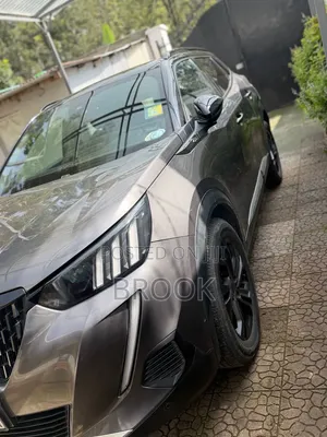 Peugeot 2008 2022 Gray