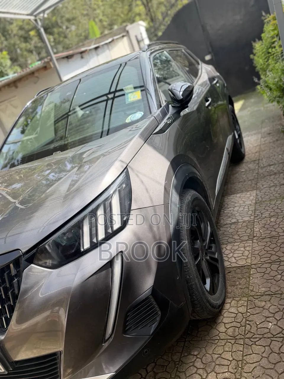 Peugeot 2008 2022 Gray