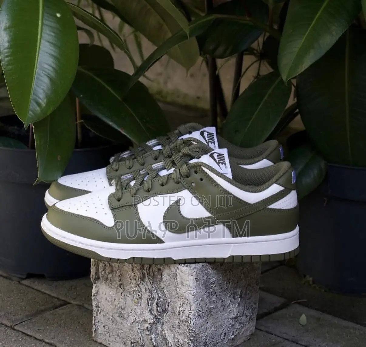 Nike Dunk Low ‘Medium Olive’ WMNS Shoes