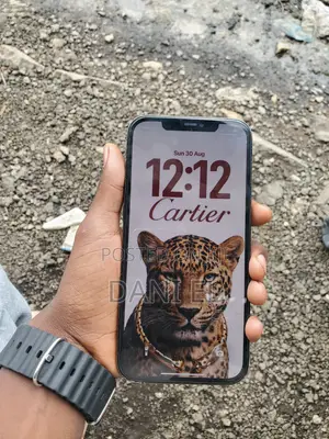 Apple iPhone 12 Pro Max 256 GB Graphite
