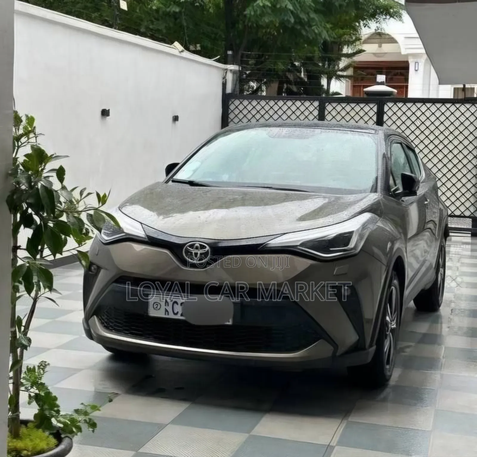 Toyota C-HR 2022 Gray