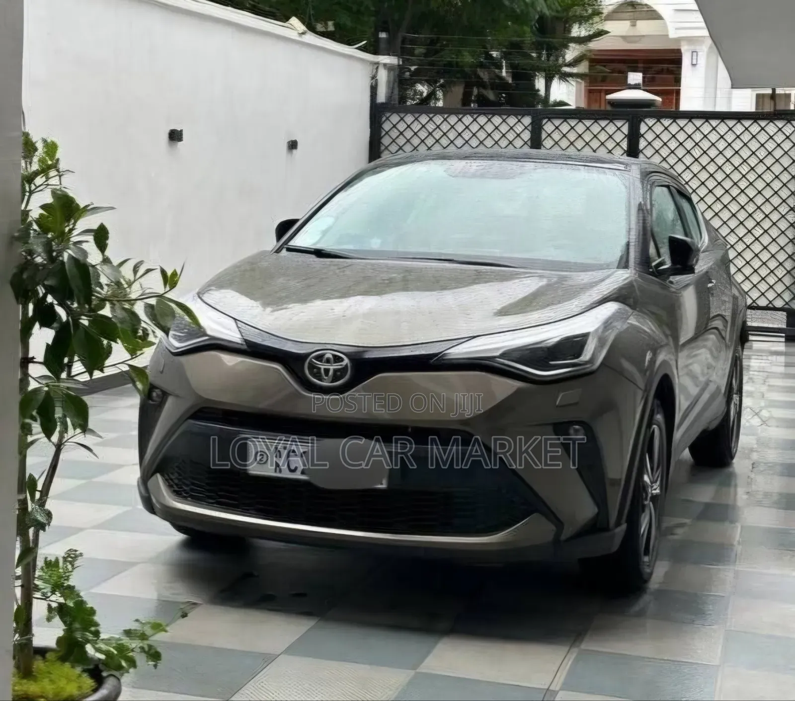 Toyota C-HR 2022 Gray
