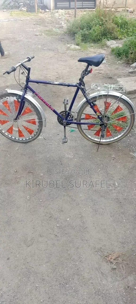 Bicycle Creeper
