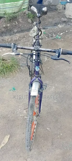 Bicycle Creeper