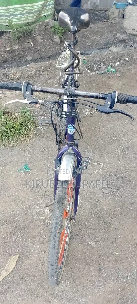 Bicycle Creeper