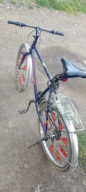 Bicycle Creeper