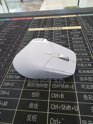 Rapoo MT760 Wireless Mouse