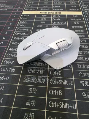 Rapoo MT760 Wireless Mouse