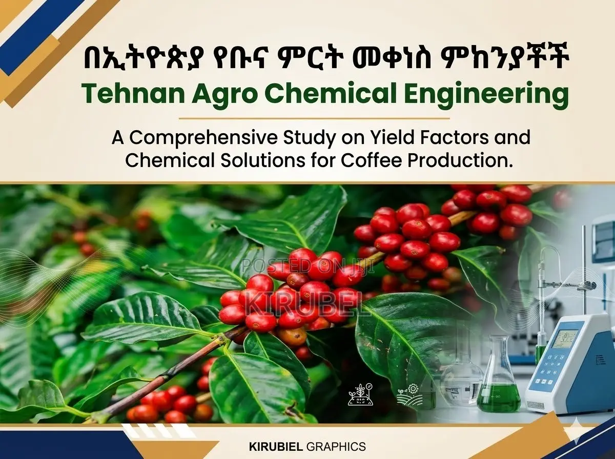 የኢትዮጵያ ቡና ምርት መቀነስ ምክንያቶች እና መፍትሄው
