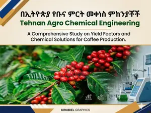 የኢትዮጵያ ቡና ምርት መቀነስ ምክንያቶች እና መፍትሄው