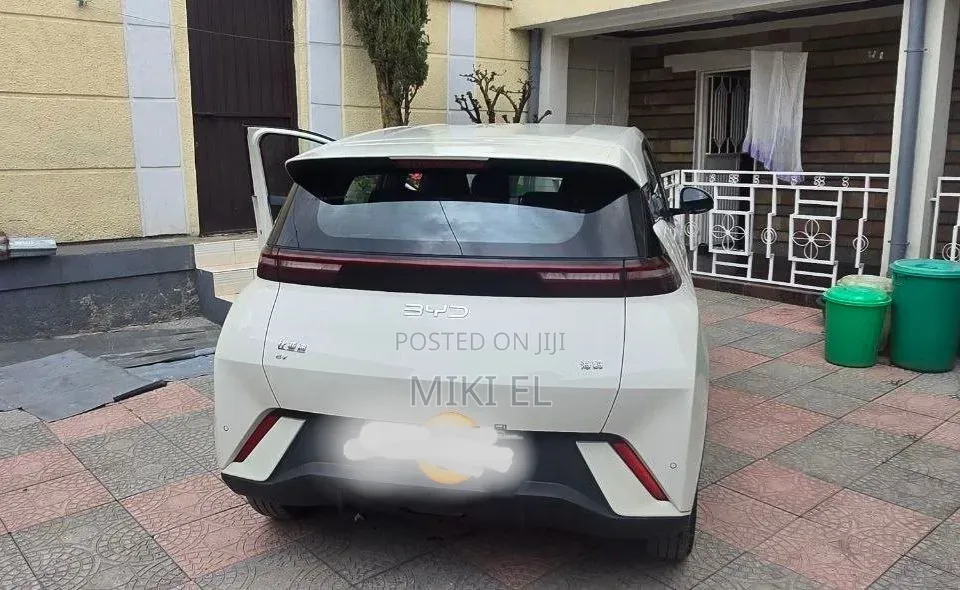 BYD Seagull 38 kWh FWD 2024 White