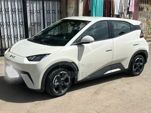 BYD Seagull 38 kWh FWD 2024 White
