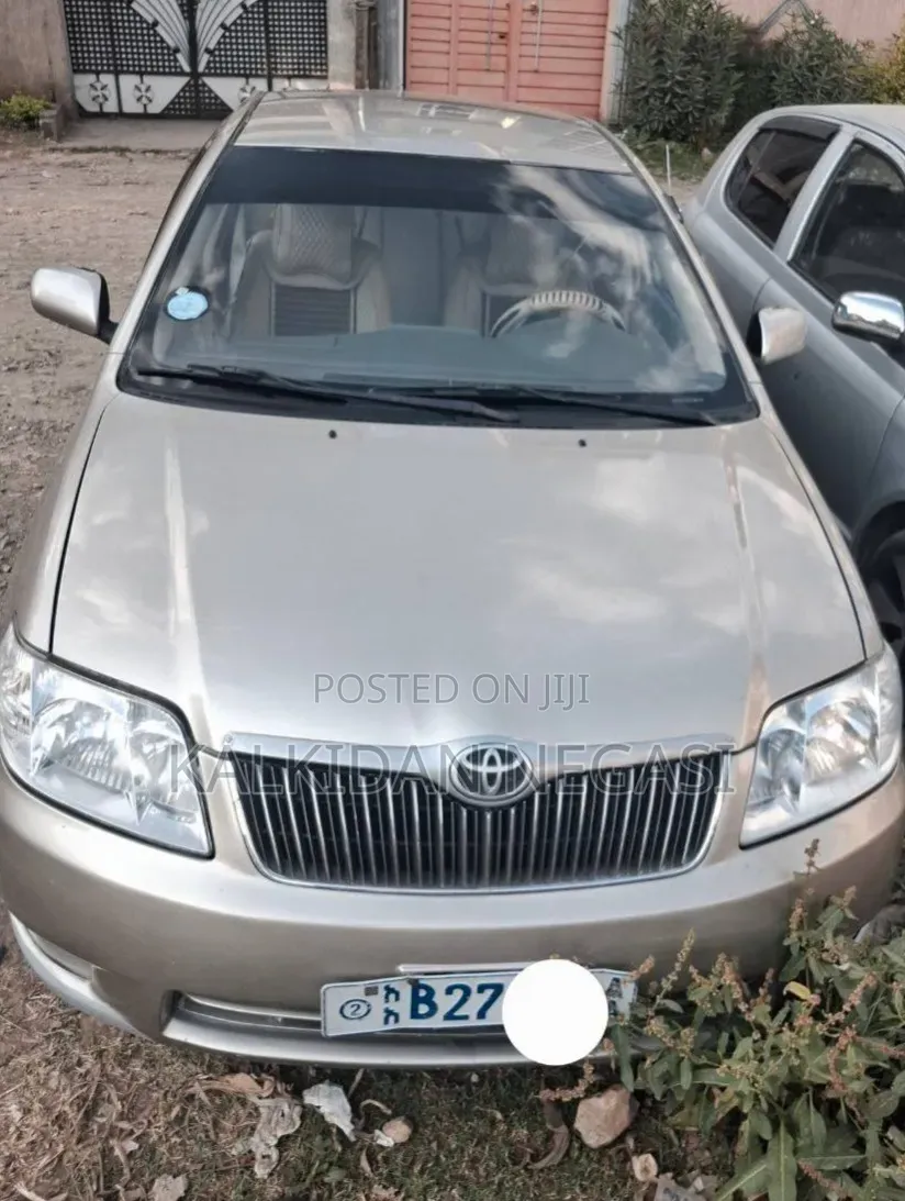 Toyota Corolla 2006 Gray