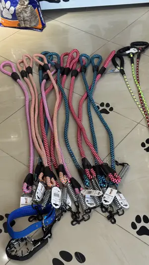 Leash for Big Dogs