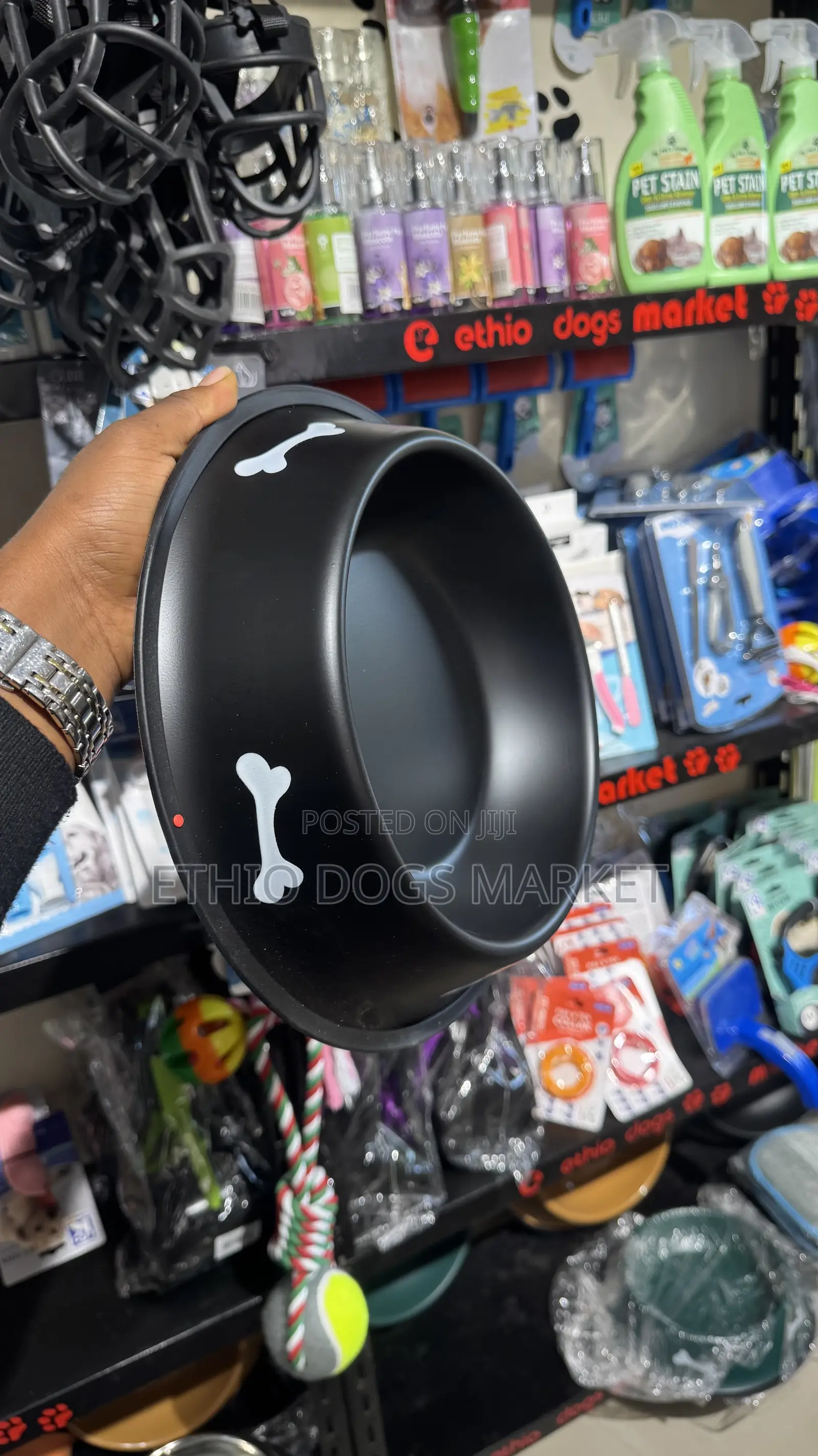 Stylish Dog Feeding Bowls