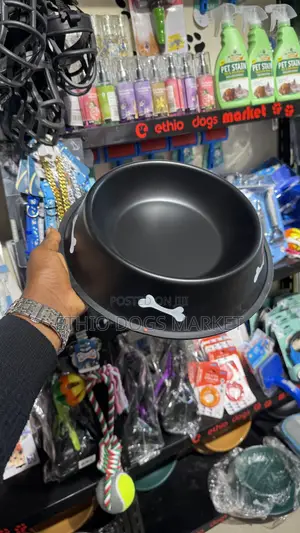 Stylish Dog Feeding Bowls