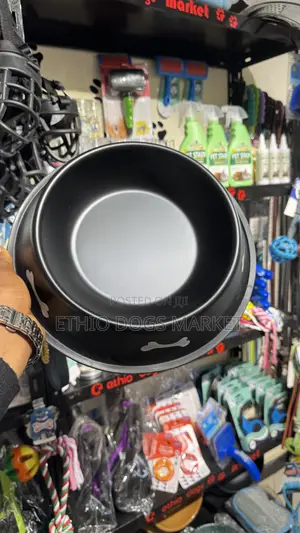 Stylish Dog Feeding Bowls