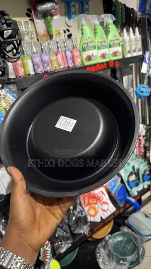 Stylish Dog Feeding Bowls