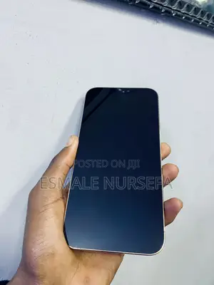 Apple iPhone 12 Pro Max 128 GB Gold