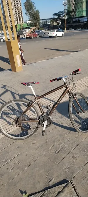 Bicycles Others Choice
