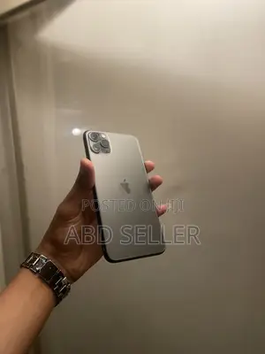 Apple iPhone 11 Pro Max 256 GB Gray