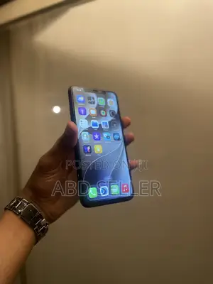 Apple iPhone 11 Pro Max 256 GB Gray