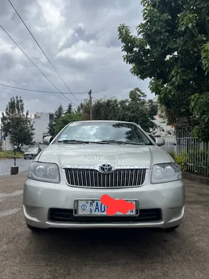 Toyota Corolla 2007 Gray