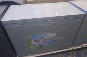 EVEREST 450 Model Best Dipe Fridge