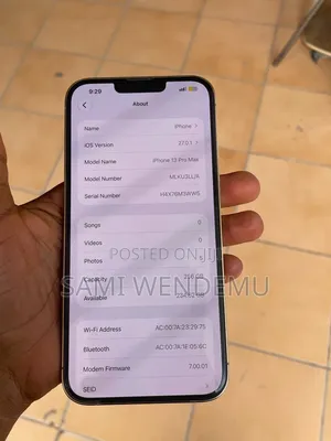Apple iPhone 13 Pro Max 256 GB Silver