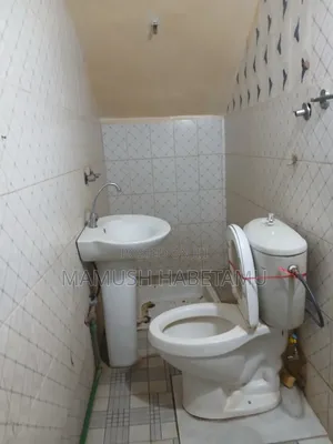 Furnished 5bdrm House in የግል, Nifas Silk-Lafto for sale