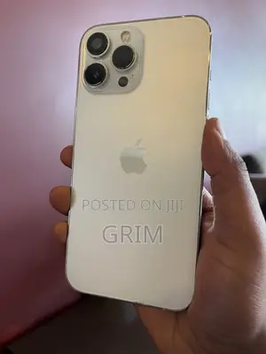 Apple iPhone 13 Pro Max 256 GB White