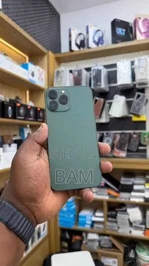 New Apple iPhone 13 Pro Max 256 GB Green