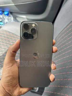 Apple iPhone 13 Pro Max 256 GB Gray