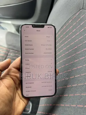Apple iPhone 13 Pro Max 256 GB Gray