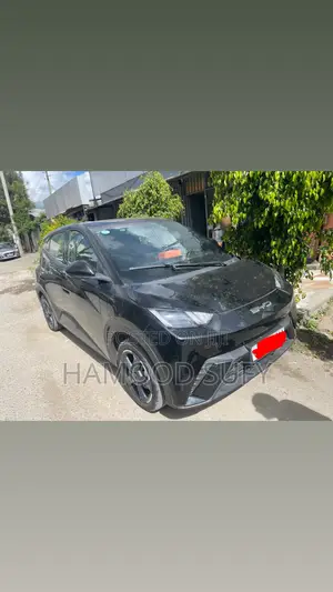 BYD Seagull 38 kWh FWD 2023 Black