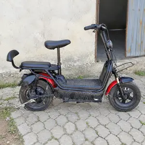 CityCoco City 2024 Black