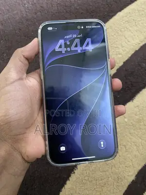 Apple iPhone 15 Pro Max 512 GB Silver