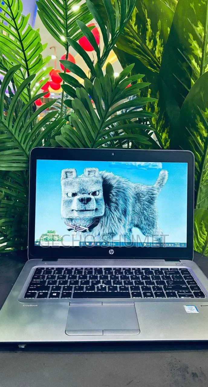 New Laptop HP EliteBook 840 G3 8GB Intel Core i5 SSD 1T