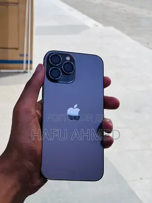 Apple iPhone 13 Pro Max 256 GB Silver