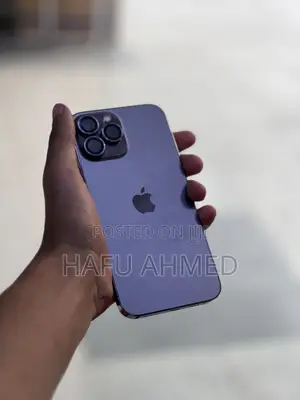 Apple iPhone 13 Pro Max 256 GB Silver