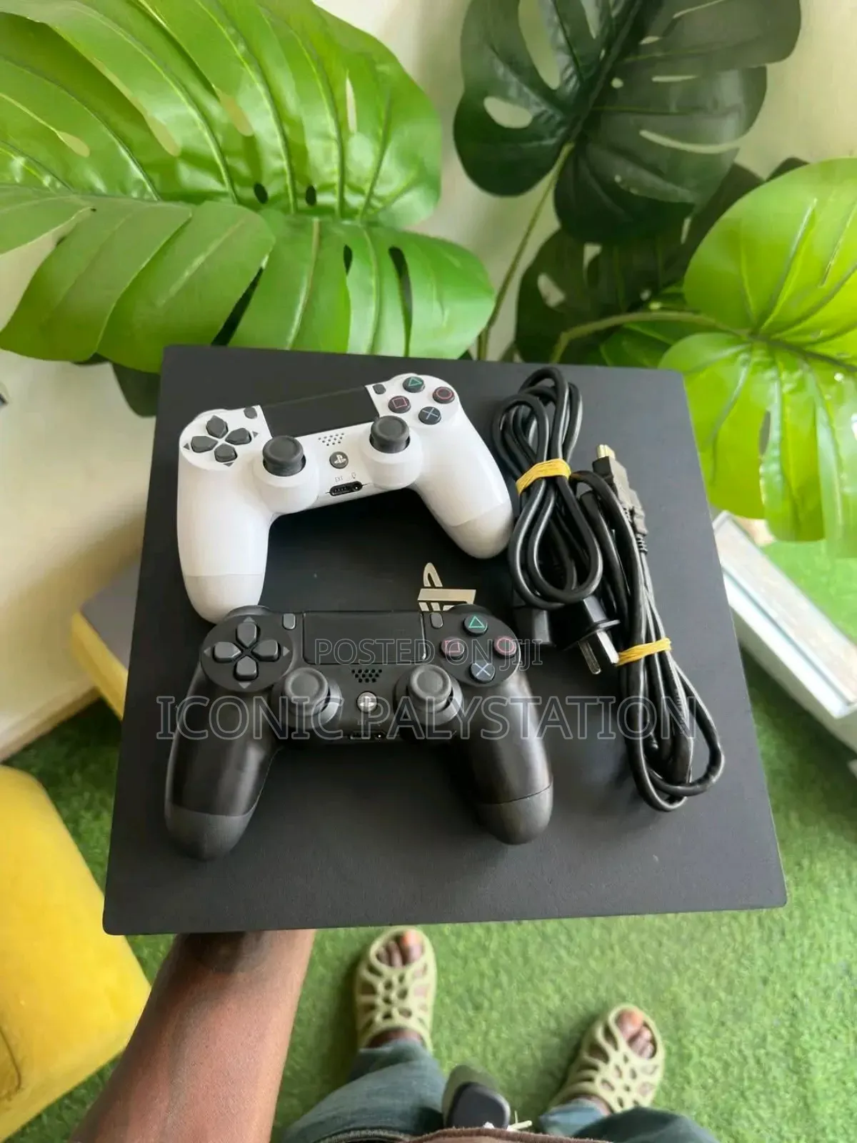 Iconic PS4 Jealberak for Beginner Gamers