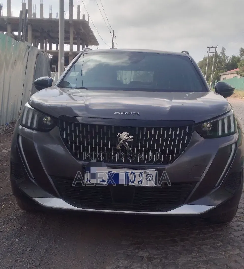 Peugeot 2008 2023 Gray