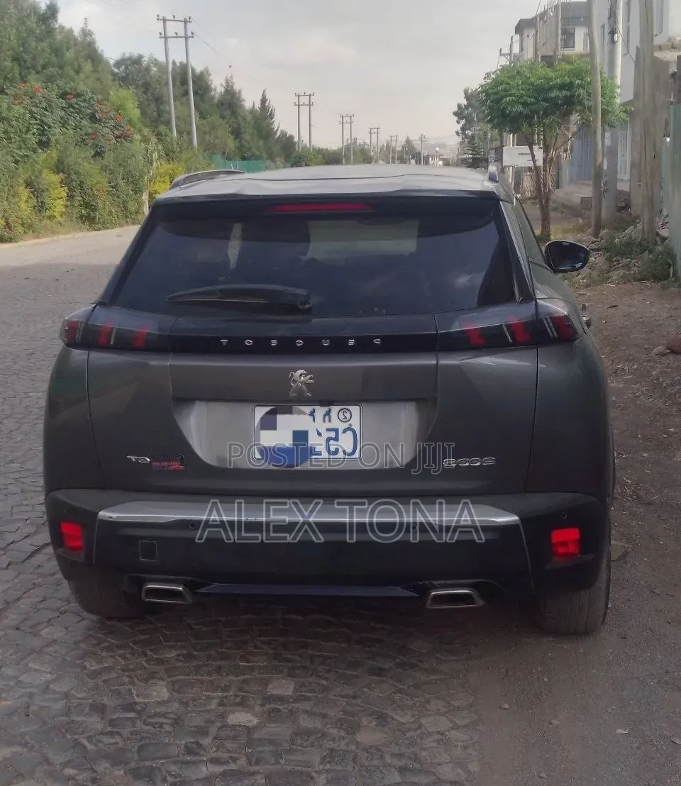 Peugeot 2008 2023 Gray