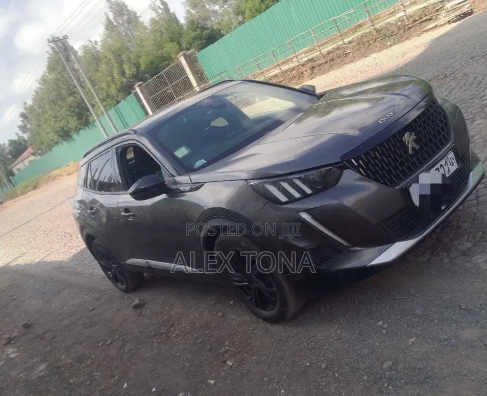 Peugeot 2008 2023 Gray