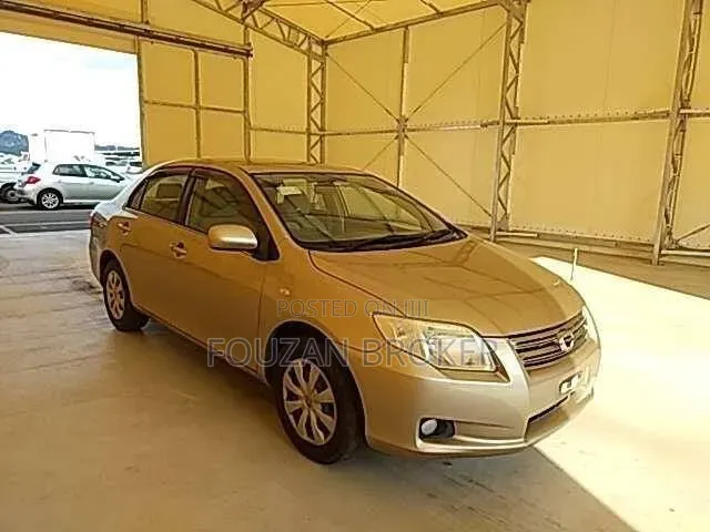 Toyota Axio 2007 Gold