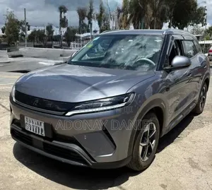 BYD Yuan Up 2025