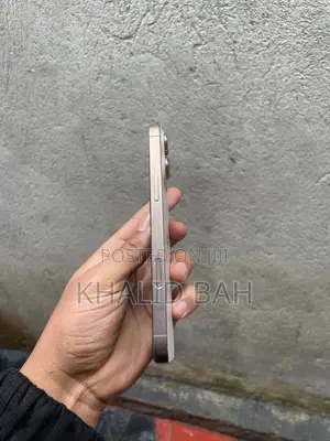 Apple iPhone 16 Pro Max 256 GB Gold