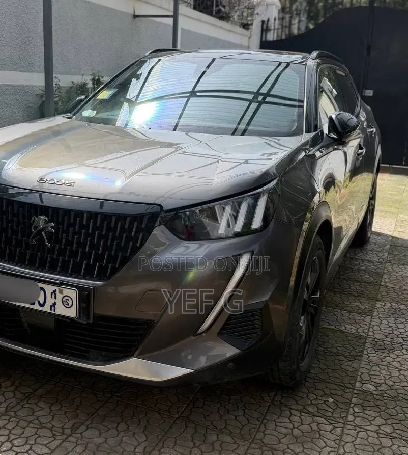 Peugeot 2008 2023 Gray