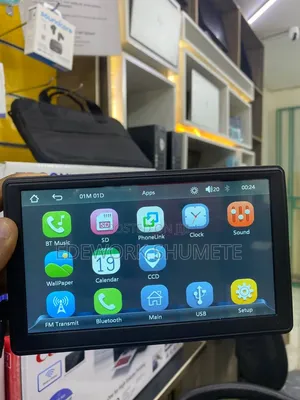 Portable Car Display